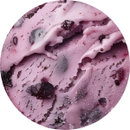 Blueberry Pie